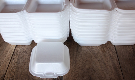App_styrofoam food container_435X260